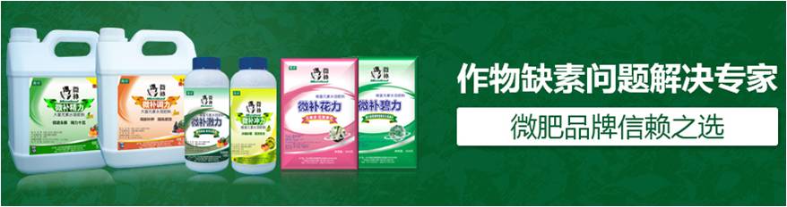 #微肥課堂#為什么葉面肥養(yǎng)分含量相同，效果卻不同？