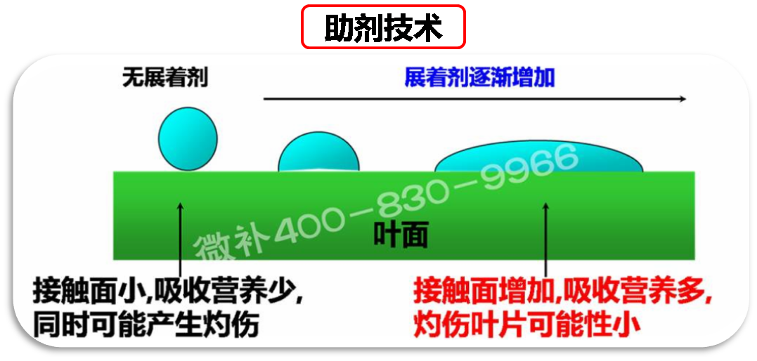 余教授德國鄉(xiāng)村行：我在德國為什么不會點啤酒了？
