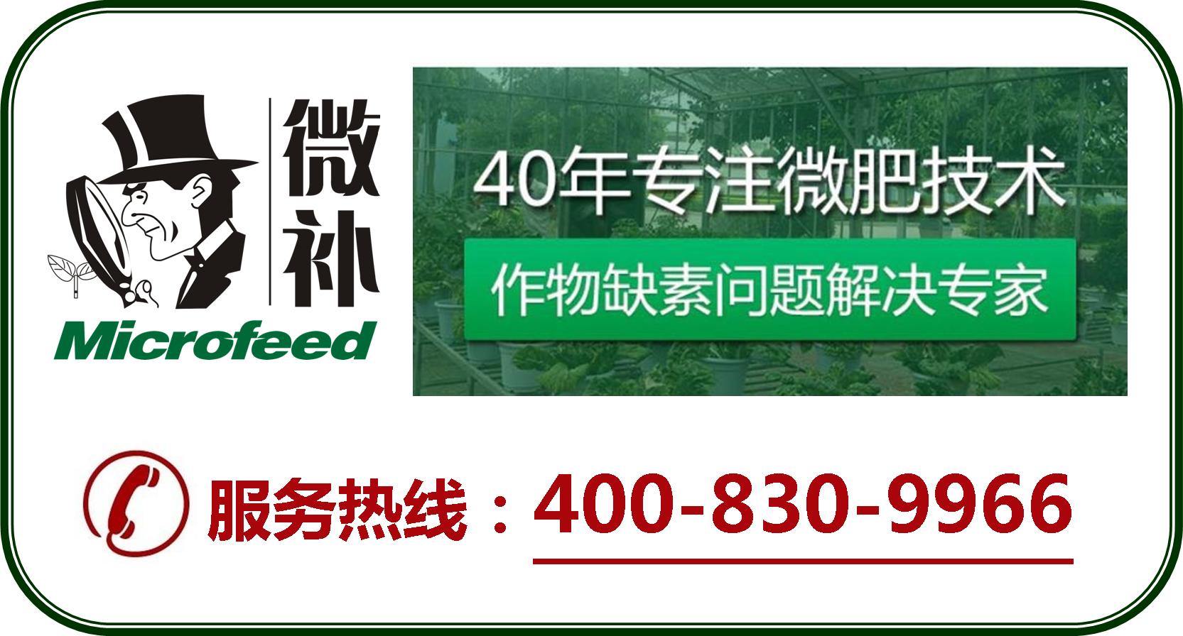 余教授德國(guó)鄉(xiāng)村行：摩澤爾河的葡萄魅力在哪兒？