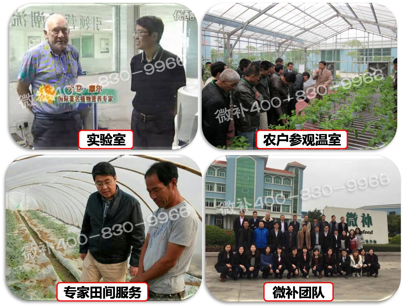 余教授奧地利維也納行：不懂音樂的農(nóng)民教授，在音樂之都的感受