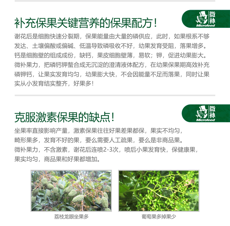 微補果力_02.jpg