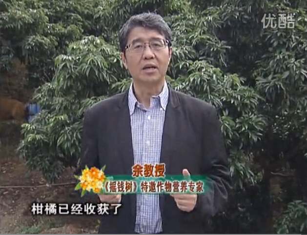 20160104珠江臺搖錢樹：防治柑橘黃樹、減少采后弱樹 撒微補(bǔ)倍力、噴碧力+壯力