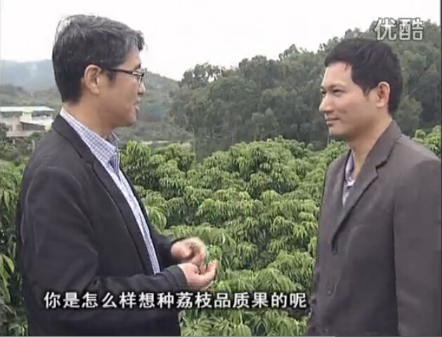 20160104珠江臺搖錢樹：補充所需微補營養(yǎng)，種出品質荔枝，提高收益賣價！