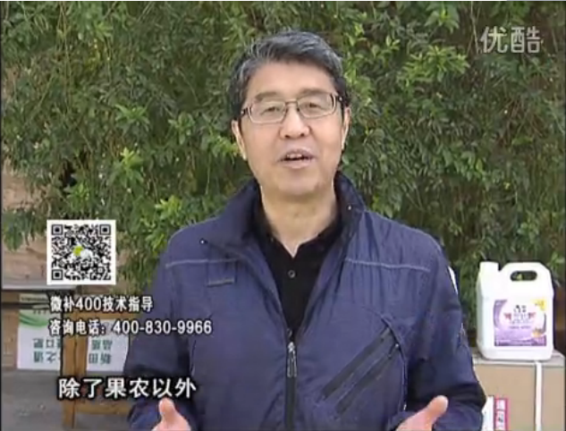 20160321珠江臺(tái)搖錢樹：柑橘用微補(bǔ)方案，百萬收入不是夢