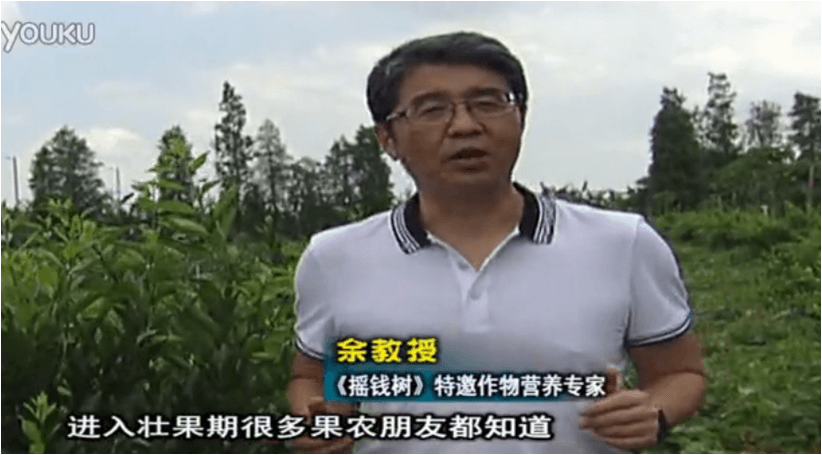 20160620珠江臺(tái)搖錢樹：柑橘淋微補(bǔ)調(diào)力、噴蓋力+壯力，調(diào)酸壯長勢、膨果防裂好