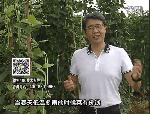 20160704珠江臺搖錢樹：蔬菜用微補方案，省肥藥又保產(chǎn)