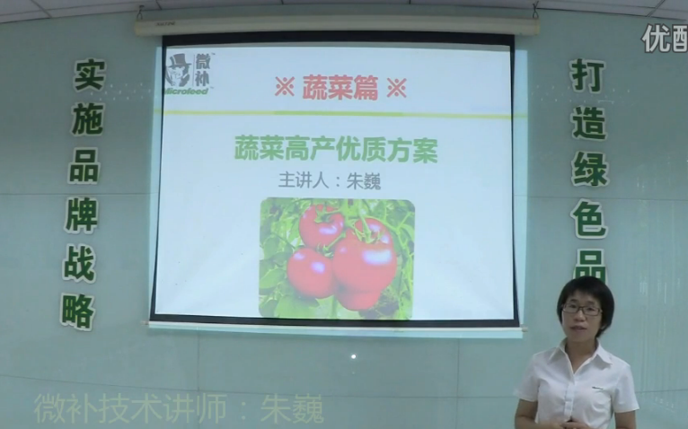 蔬菜-提苗壯長、提高坐果高產(chǎn)方案.微補講座