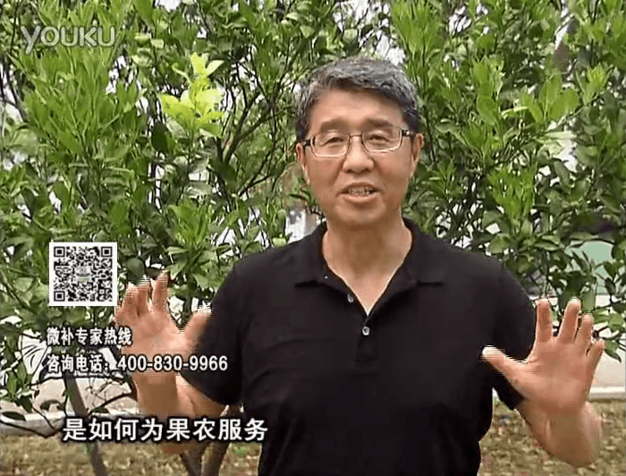 20160912珠江臺搖錢樹：針對果場面積、缺素營養(yǎng)、設施管理、投入產出，微補做個性化定制服務