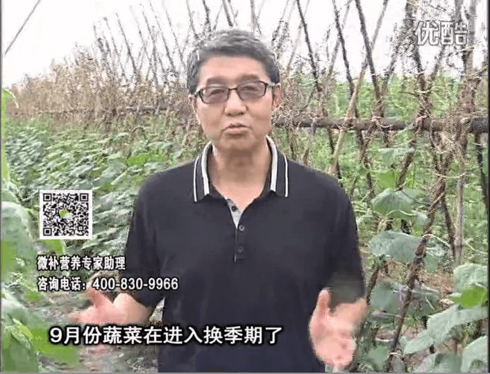 20160926珠江臺搖錢樹：換季蔬菜淋根力鈣精力促根壯長，淋微補調(diào)力調(diào)酸減少病害