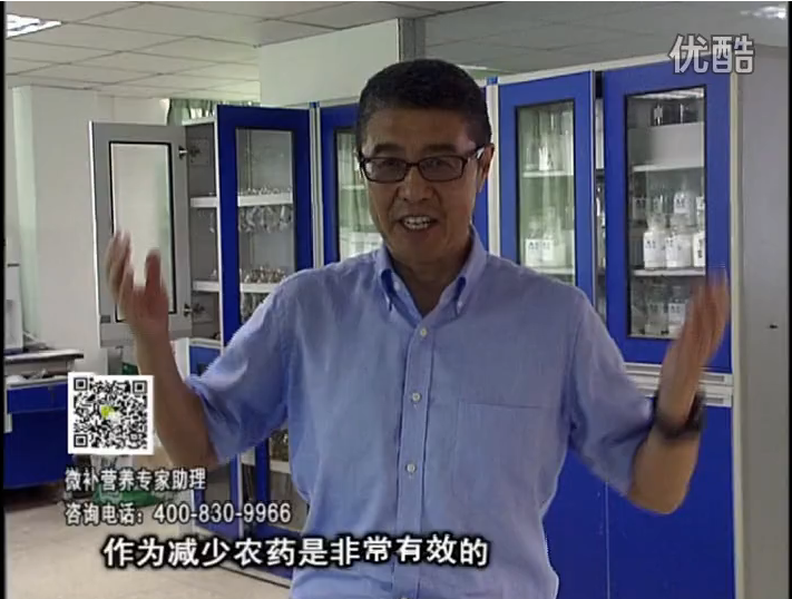 20161024珠江臺搖錢樹：種植作物調酸、平衡營養(yǎng)、提高抗病力能大大降低病害發(fā)生和農藥使用量