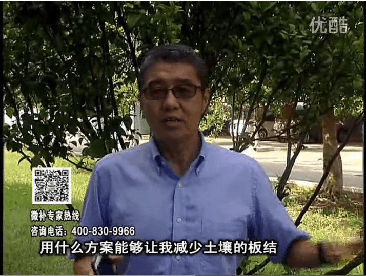 20161031珠江臺搖錢樹：減少化肥使用量、土壤少板結有辦法