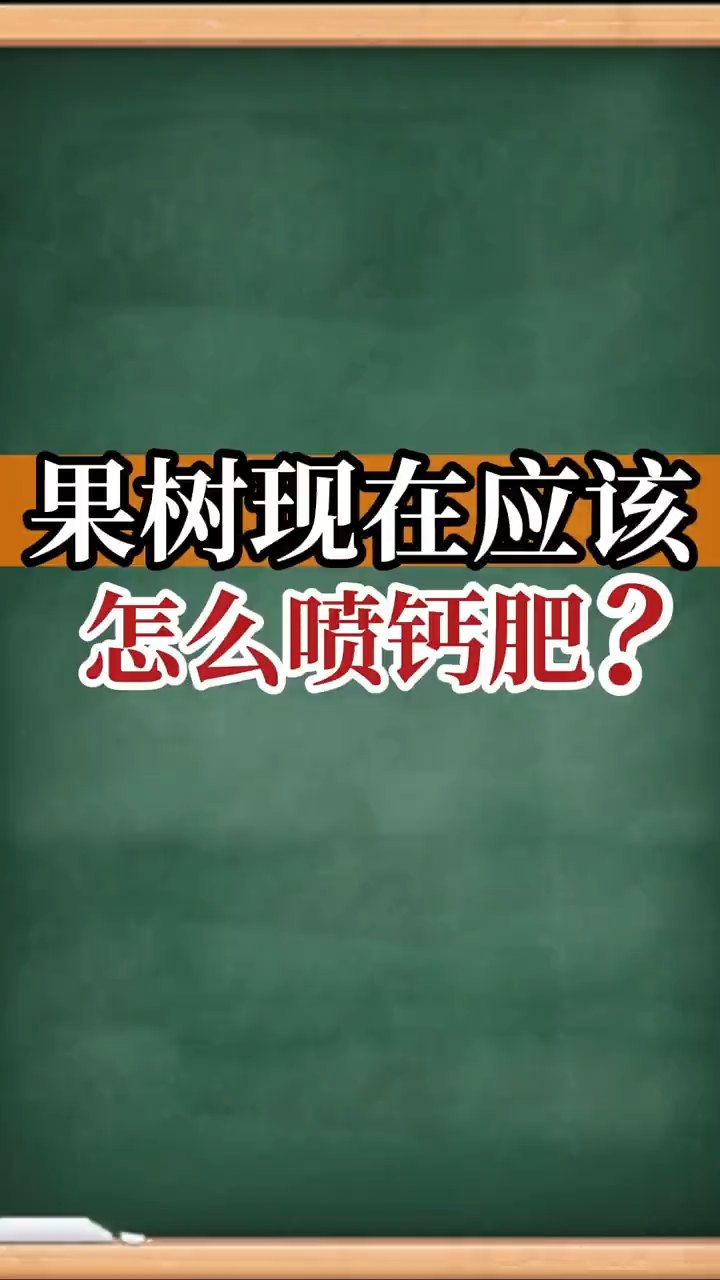 果樹現(xiàn)在應該怎么噴鈣肥？